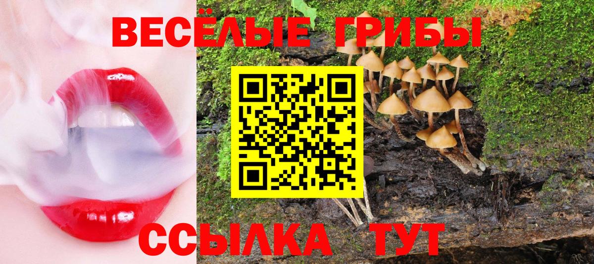 Чусовой  Галлюциногенные грибы прущие грибы  Псилоцибиновые грибы мухоморы  Вход с VPN 